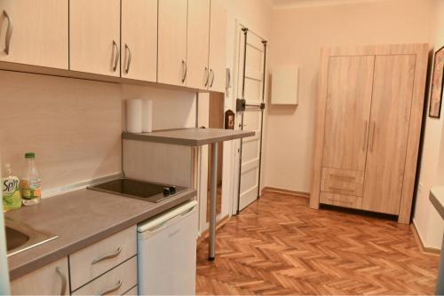 Il comprend une cuisine avec des placards blancs et du parquet. dans l'établissement Bojan Central Apartment, à Novi Sad