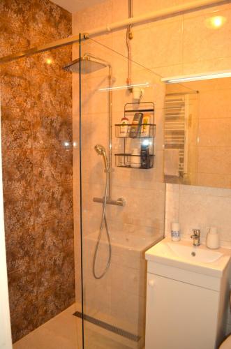 a bathroom with a shower and a sink at Demjén ház in Nyíregyháza