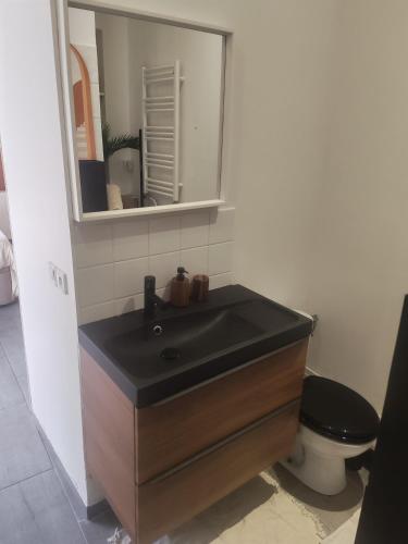 a bathroom with a black sink and a toilet at Studio équipé proche Stade de France in Épinay-sur-Seine