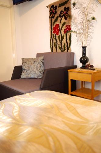 a living room with a bed and a couch at Demjén ház in Nyíregyháza