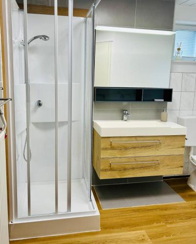 a bathroom with a shower and a sink at Ferienwohnung Alpenpfad in Elmen
