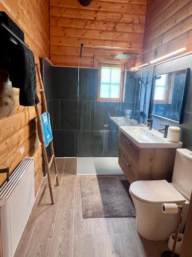 a bathroom with a shower and a toilet and a sink at Le cocon de La Bresse in La Bresse