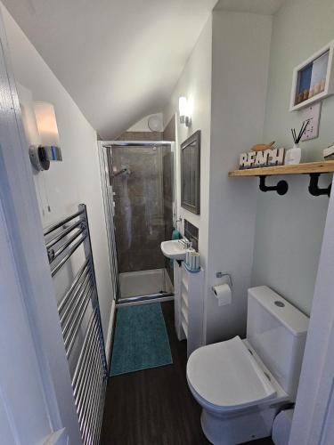 a small bathroom with a toilet and a shower at Railway Cottage, Liskeard in Liskeard