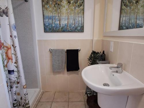 a bathroom with a sink and a shower at Carreg Cennen Cottage in Carmarthen