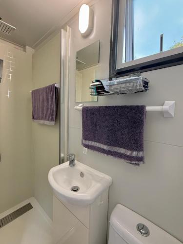 a white bathroom with a sink and a mirror at Diana's Place in Moeraki