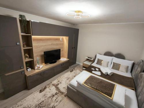 a bedroom with a bed and a flat screen tv at Delfinului Retreat in Ovidiu