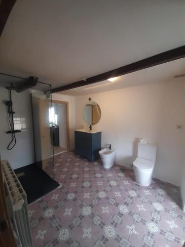 a bathroom with a toilet and a sink and a mirror at El Patio de Doña Tere in Villarta de San Juan