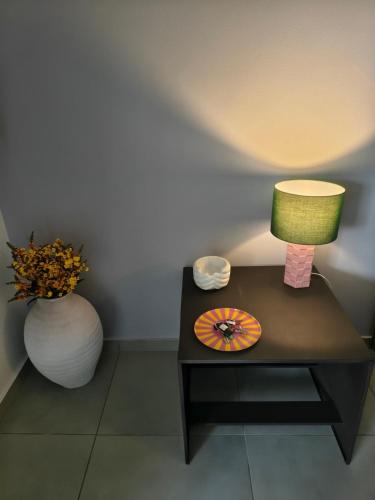 The elegant urban apartment