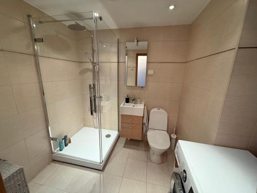a bathroom with a shower and a toilet and a sink at Masti Apartment in Tallinn