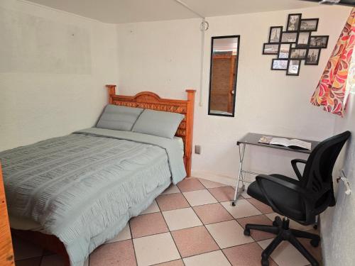 a bedroom with a bed and a desk and a chair at Rincon Hortensia apartments and loft in Oaxaca City