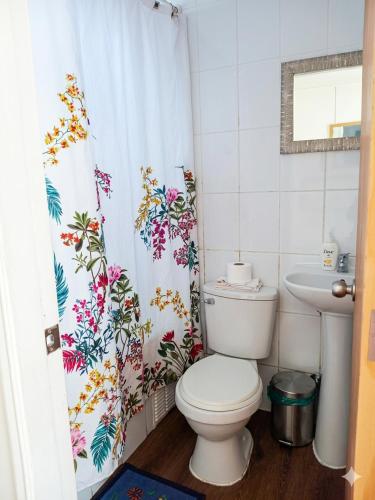 a bathroom with a toilet and a shower curtain at Borde Lago IV - V in Puerto Varas