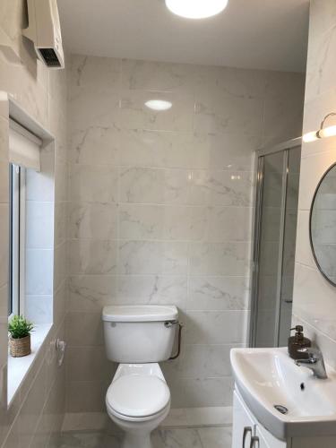 a white bathroom with a toilet and a sink at The Lodge in Galway