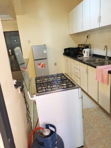 a small kitchen with a stove and a sink at Kaisa garden in Nairobi