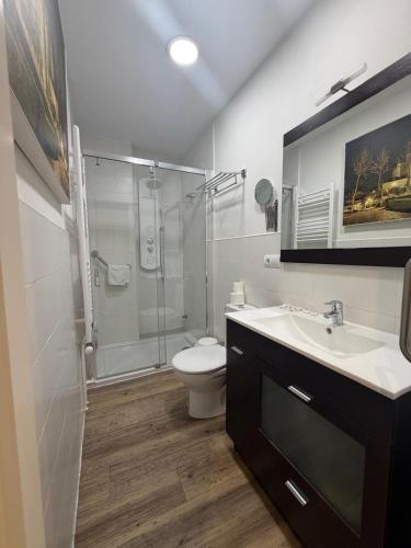 a bathroom with a toilet and a sink and a shower at La Puerta del Valle in Villafranca del Bierzo