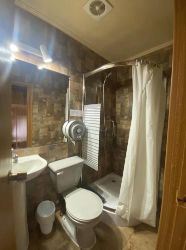 a bathroom with a toilet and a sink and a shower at HOTEL CASAGRANDE con estacionamiento EXCLUSIVO y estamos a 50 MTS del Terminal de Buses in Valdivia