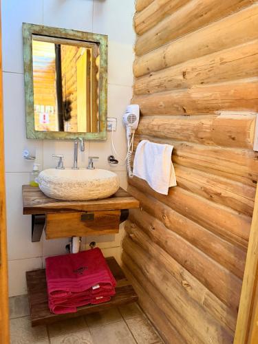 a bathroom with a sink and a wooden wall at Cabaña Manzano Historico Punta Negra Lodge 1 in Tunuyán