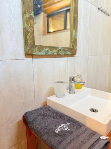 a bathroom with a sink and a mirror at Cabaña Manzano Historico Punta Negra Lodge 2 in Tunuyán