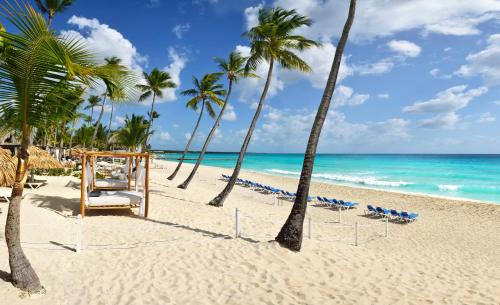 uma praia com cadeiras e palmeiras e o oceano em Catalonia Royal La Romana Adults Only - All Inclusive em Bayahibe