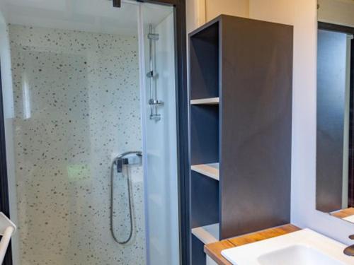 a bathroom with a shower and a sink at Chalet avec animaux admis - 4 pers. - API-1-52-2772 in Sainte-Montaine