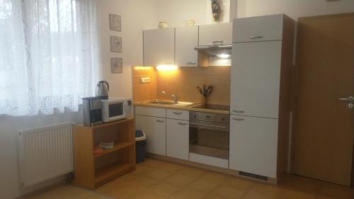 eine kleine Küche mit einer Spüle und einer Mikrowelle in der Unterkunft Apartment Lipno in Lipno nad Vltavou