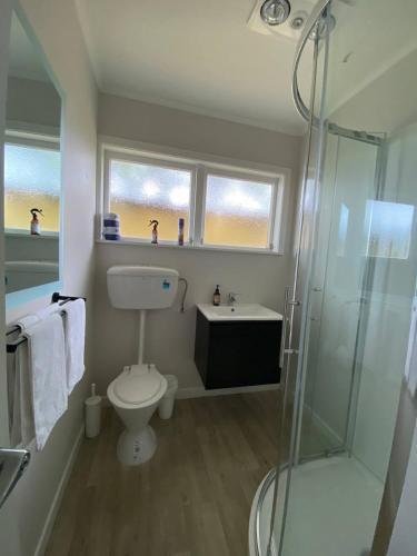 a bathroom with a toilet and a glass shower at Rehutai Beach House in Paihia