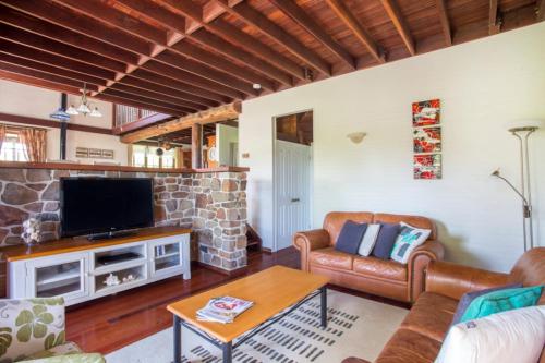 a living room with a couch and a tv at Stone Cottage - vineyard estate w. fireplace in Milton