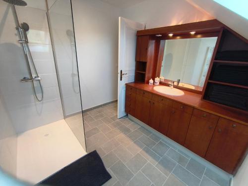 a bathroom with a sink and a shower with a mirror at Gite 15 pers tout compris Les Lucioles in Crevant