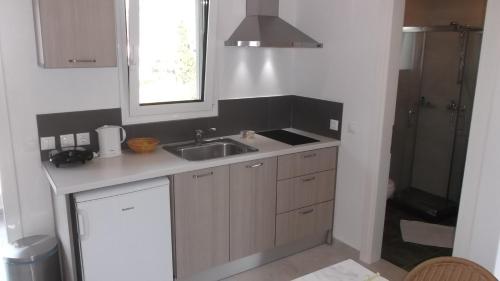 Η κουζίνα ή μικρή κουζίνα στο Vanessa House Luxury Apartments