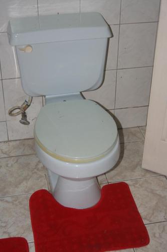 a white toilet in a bathroom with a red rug at Cozy Apartment in Kingston