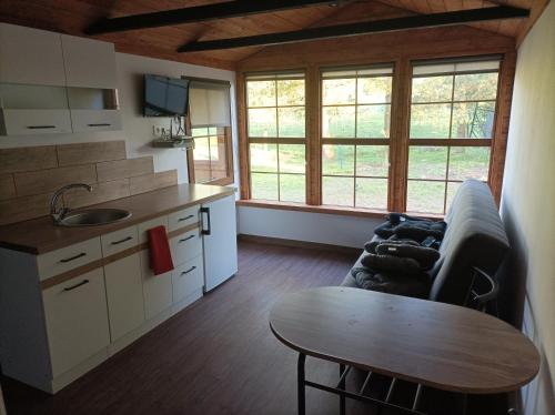 a kitchen with a couch and a table in a room at Zielona Polana in Debrznik