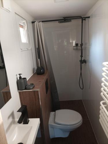 a bathroom with a toilet and a shower and a sink at Zielona Polana in Debrznik