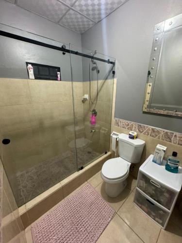 a bathroom with a shower and a toilet and a sink at Casa No6 Ascot in Carapo