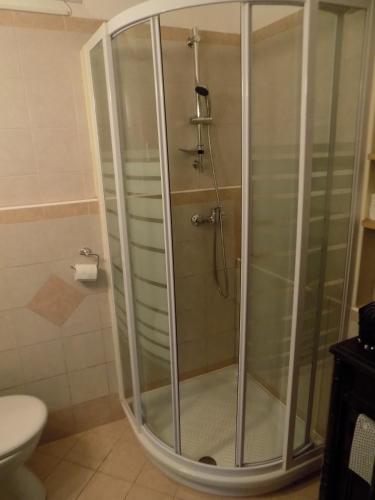 a shower with a glass door in a bathroom at Apartment Pri Ruscu in Tolmin