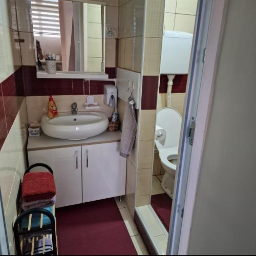 a small bathroom with a sink and a toilet at Skver apartman in Paraćin