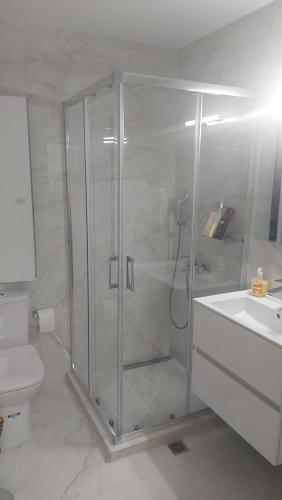 a bathroom with a shower and a toilet and a sink at Nineta's House Sea View near the Airport in Artemida