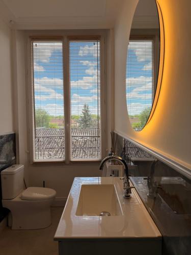 a bathroom with a sink and a toilet and a mirror at Villa des dames 40m2,jardin fleuri in Sainte-Savine