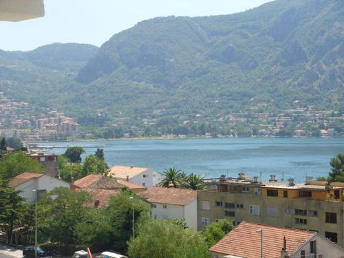 a view of a city and a body of water at Apartments Dakovic in Kotor