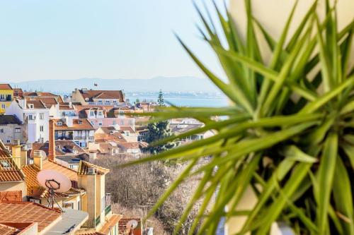 Príncipe Real Sunny Apartment