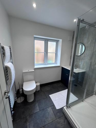a bathroom with a shower and a toilet and a sink at Sycamore Stay in Spalding