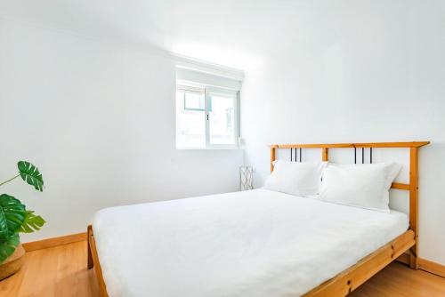 São José 2BR @ City Center