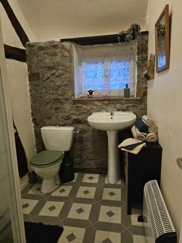 a bathroom with a toilet and a sink at authentieke gite Mouton in Les Vignolats