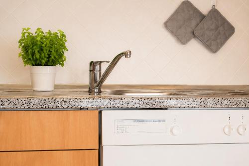 a kitchen with a sink and a potted plant at Haus Strandperle in Zinnowitz