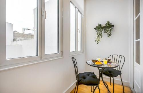 Santa Catarina Downtown Flat
