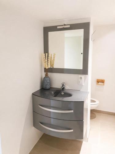 a bathroom with a sink and a mirror at La terrasse du romarin in Gorges