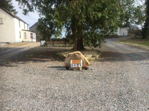 a bench sitting on the side of a road next to a tree at Douglas Lodge Holiday Homes in Keadew