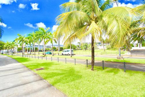 a row of palm trees in a park with a sidewalk at Foyal Suites in Fort-de-France