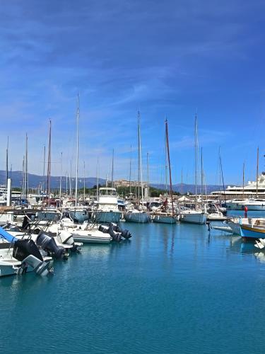 Havre de verdure Antibes Val Claret