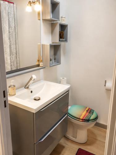 a bathroom with a sink and a toilet at Studio Rez de jardin Marina baie des Anges in Villeneuve-Loubet