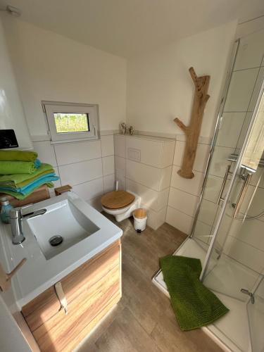 a bathroom with a sink and a shower and a toilet at Ferienhaus Abendsonne in Sebnitz - Sächsische Schweiz in Sebnitz