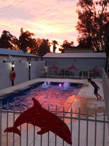 a dolphin swimming in a swimming pool with a boy at Comfort Inn & Suites Augusta Westside in Port Augusta
